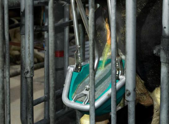 De emissiefactor van het koetoilet is vastgesteld op 6 kg ammoniak per dierplaats per jaar
