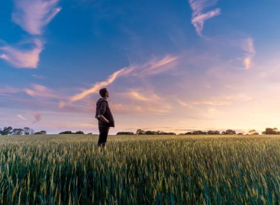 Vestigingssteun voor jonge landbouwers 2025: het belang van een goed bedrijfsplan