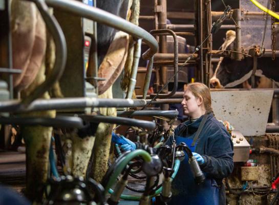 De melkaanvoer in Europa liep in januari met 0,4 procent terug