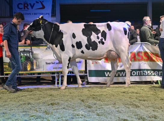 Hotlinedochter Landaas Mina 0879 won de vaarzentitel in Ermelo (foto: Fleur Maartje Bakker)