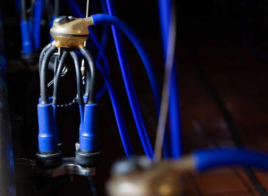 Op de beste Duitse bedrijven heeft driekwart van de koeien een celgetal dat lager is dan 100.000 cellen per milliliter