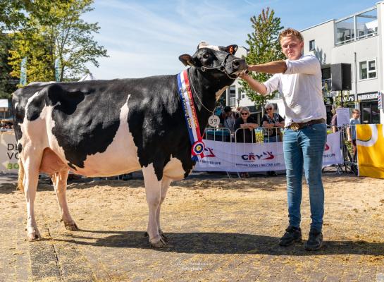 Het algemeen kampioenschap in Zeewolde ging naar VVH Black-Wendy (foto: CIlia Hoekman)