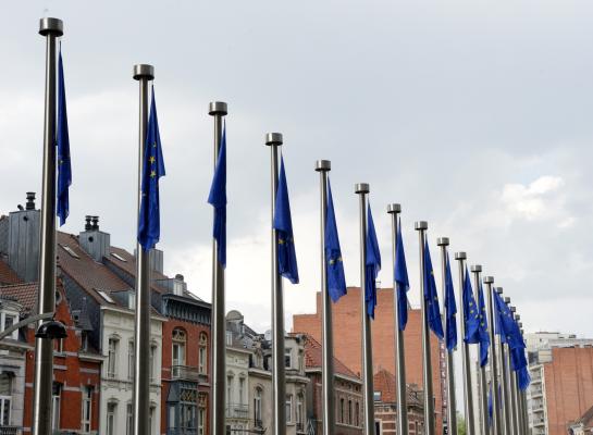 De definitieve invulling van de wetgeving wordt door het Europees Parlement bepaald