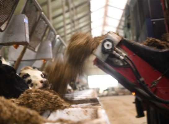 CRV startte in 2017 met onderzoek naar de voeropname van individuele koeien