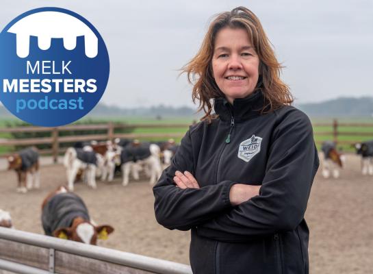 Jennie Polinder voor de kalveren op het kalverstrand