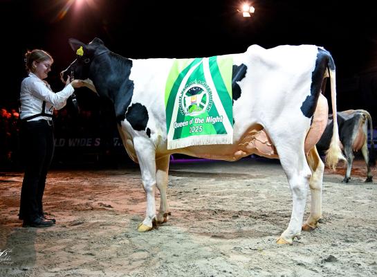 Maartje 19 (v. Bad) is gekroond tot Queen of the Night in Aalten (foto: Henk Lomulder)