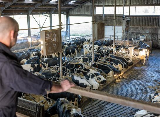 De familie Diepman denkt veel na over de overdraagbaarheid van het bedrijf