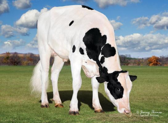 OCD Trooper Sheepster leidt de TPI-lijst met 3464 punten