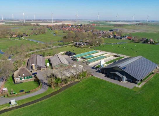 In 2040 blijft volgens Rabobank de helft over van het aantal melkveebedrijven in 2023