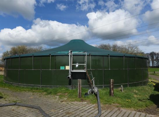 Het aandeel rundveemest in de totale mestexport was met 2,4% in 2025 nog altijd zeer bescheiden