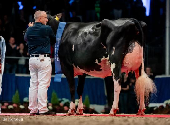 Louella treedt met de titel Miss Schau der Besten in de voetsporen van haar stalgenote O Katy (foto: Els Korsten)