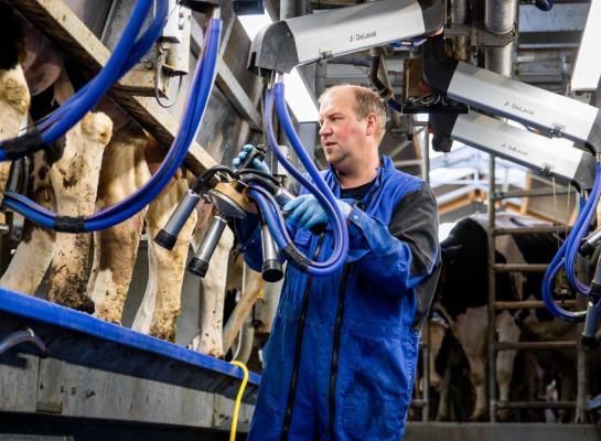 Niet eerder lag de Nederlandse melkaanvoer in januari op zo'n hoog niveau