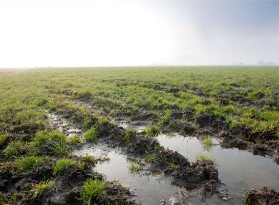 Ondanks de huidige neerslag is het waterpeil in Zuid- en West-Brabant nog erg laag