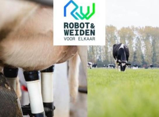 webinar