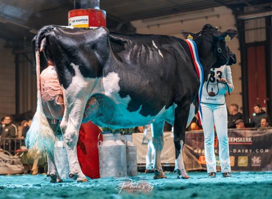 Algemeen kampioene Bons-Holsteins Koba 245 (v. Doorman) (foto: Fleur Maartje Bakker)
