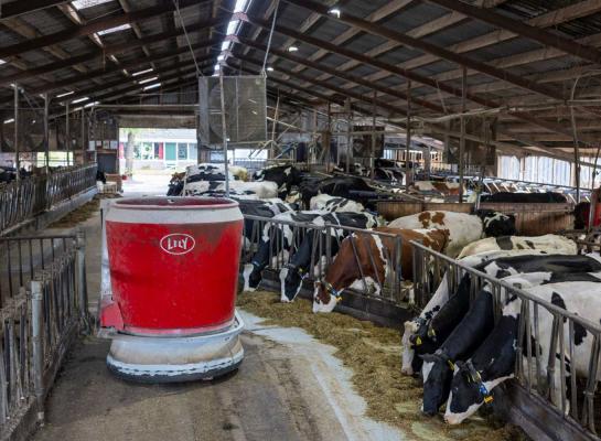 De stijging van de omzet is onder meer te danken aan de gunstige melkprijzen, waardoor veehouders volop investeerden