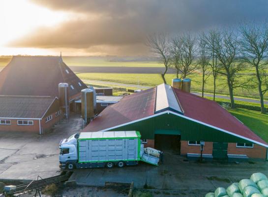 Een belangrijk aspect van de gids is de focus op transport onder voorwaarden. Voor dieren met verminderde belastbaarheid kan vervoer verantwoord zijn, mits passende maatregelen worden getroffen
