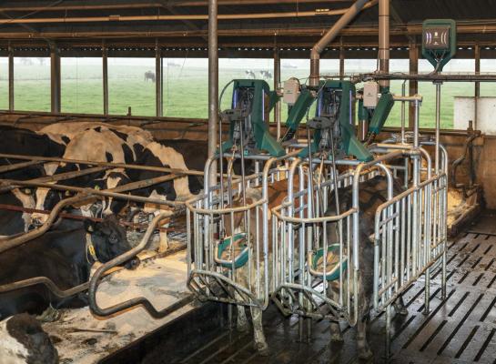 De emissiereductie van het CowToilet bedraagt 35 procent
