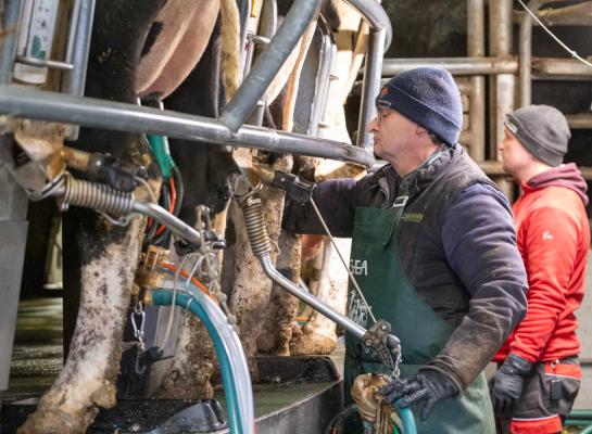 Extra produceren door het leasen van fosfaatrechten gaat op dit moment ten koste van de financiële buffer