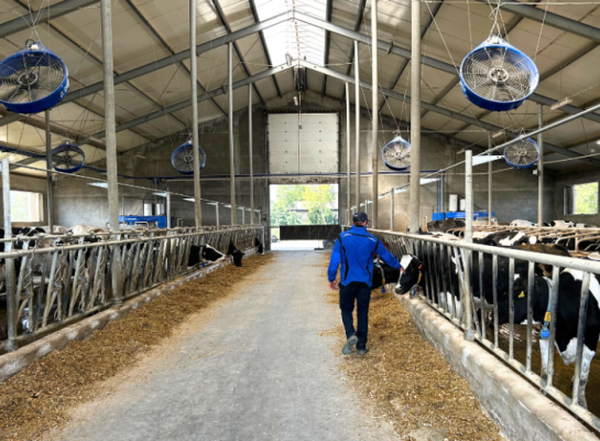 DeLaval Cow Cooling
