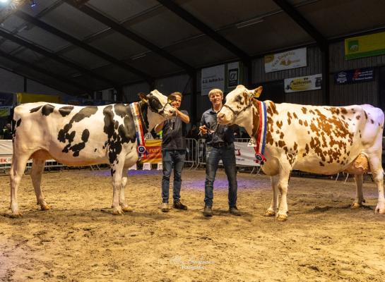 Bij de vaarzen won Chief Linda, bij de koeien met een levensproductie van meer dan 50.000 kg melk ging de titel naar J&G Trilux 152 (foto: Cilia Hoekman)