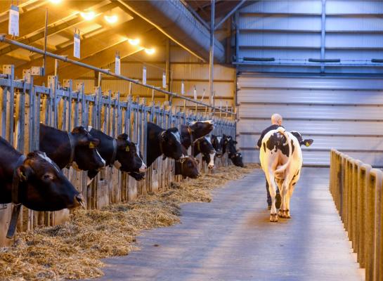 Aanpassingen in de indexformules zorgde in verschillende landen voor opschudding van de ranglijsten