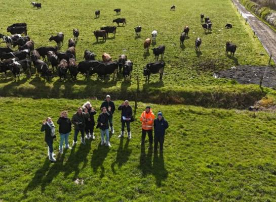 Melkveehouders delen inzichten uit studiereis Ierland