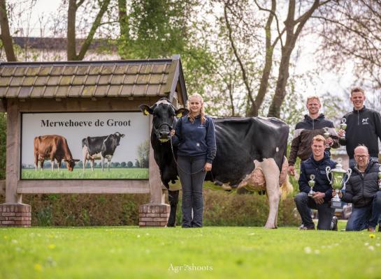 Het winnende team van Friesland met staand Jilles Jan Kooistra en Bas Koopstra, zittend Rein Vernooij en Jaap van Dooren (foto: Agrishoots)