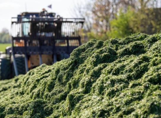 De Weideman zou op een grasbedrijf gaan voor een ruweiwitgehalte in de kuil van 140 gram per kilo droge stof