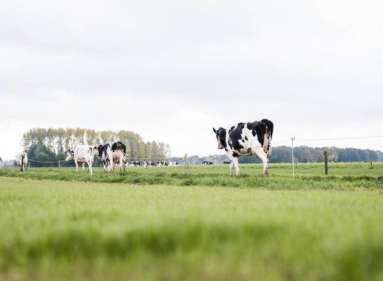 Welk systeem registreert weide-uren optimaal?