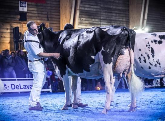 In 2025 won Gentiane de Zwitserse nationale titel (foto: Guillaume Moy)
