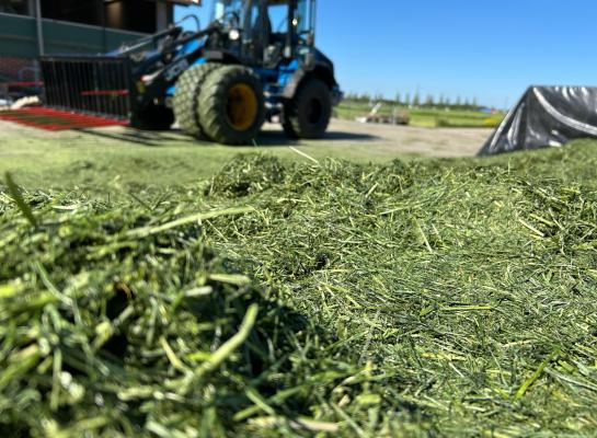 In het Noorden wordt deze week nog veel gras gemaaid en ingekuild