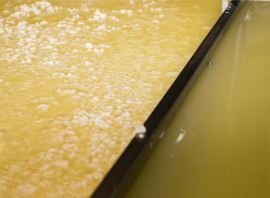Van een bijproduct van de kaasproductie is wei steeds verder opgewaardeerd naar een strategisch ingrediënt voor de voedingsindustrie