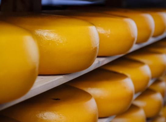 Mozzarella had in 2025 met 62 procent en 90.131 kg het grootste aandeel in de Belgische kaasproductie