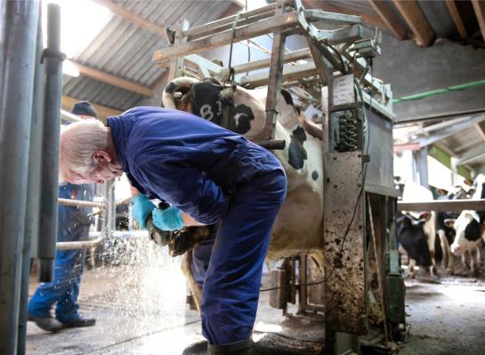 In de landelijke aanpak staan de vier thema’s dagelijks management, huisvesting, voeding en fokkerij en genetica centraal