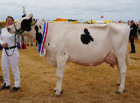 Emma 128 (v. Reflector) wint het algemeen kampioenschap tijdens de Landbouwdag op Texel (foto  Greet Witte)