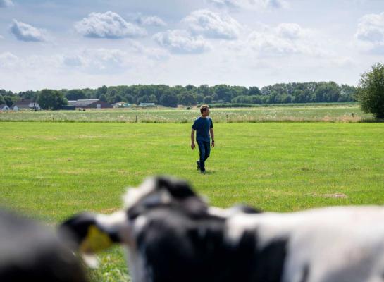 Juli is een goede maand om een uitgebreide ronde door alle percelen te maken, met extra aandacht voor de graszode