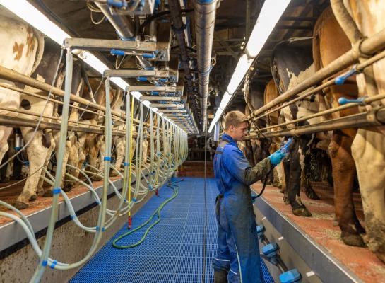 De groei van de Europese melkaanvoer vlakte in april af tot +2,7 procent
