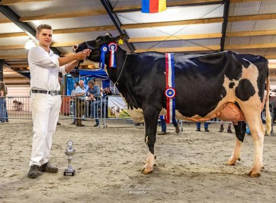 De twee keer gekalfde Lage-Bijssel Wijcornel 67 (v. Gymnast) was de sterkste bij zwartbont (foto: Cilia Hoekman)