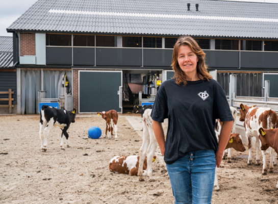 Jennie Polinder - Van Emst, melkveehouder, en op de achtergrond haar kalveren op het Kalverstrand 