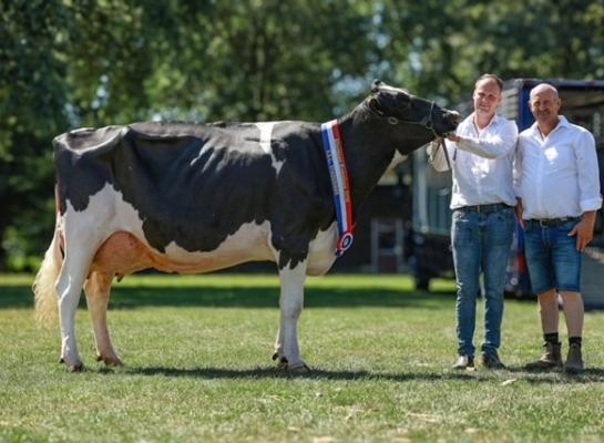 Jan en Lars Dekker wonnen het algemeen kampioenschap met De Weiteman Dina 288 (foto: Carmen Nijenkamp)