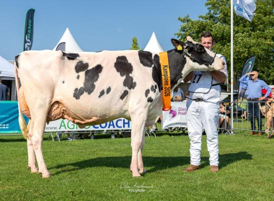 Hulapalu won zowel de titel bij de jonge koeien als het algemeen kampioenschap (foto: Cilia Hoekman)