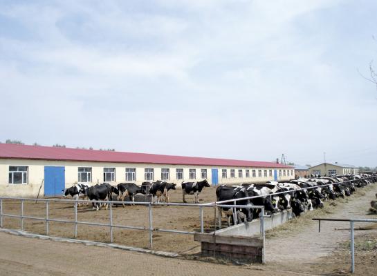 De Nederlandse aanpak van ketenbeheer werd tijdens een seminar in Peking genoemd als voorbeeld voor de verdere ontwikkeling van de Chinese voedingsmiddelenindustrie