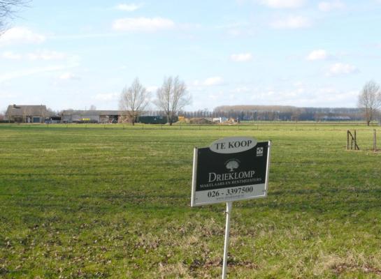 Grasland kostte het eerste half jaar gemiddeld 92.000 euro per hectare
