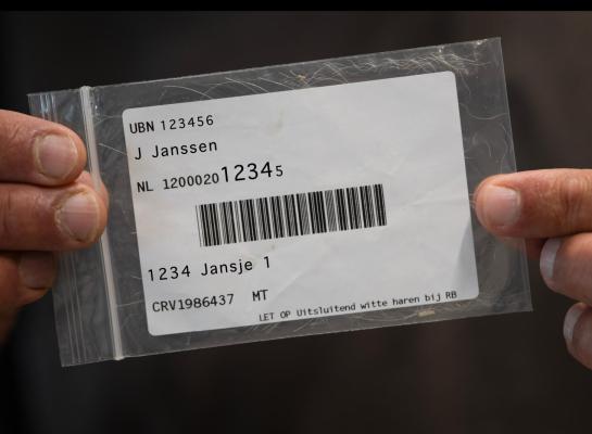 Genoomfokwaarden worden nu bepaald op basis van 70.000 verschillende merkers op het DNA