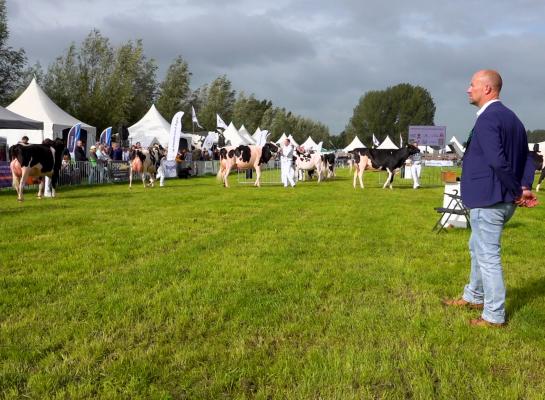 De jury kijkt met volle aandacht naar de deelnemers in Hoornaar
