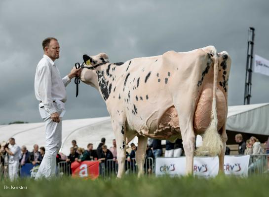 Bons-Holsteins Koba 253 (v. Solomon) wint de dagzege in Hoornaar (foto: Els Korsten)