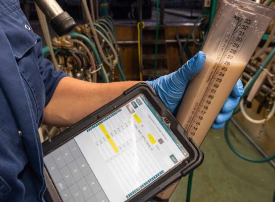 Afgelopen jaar voerden Vlaamse melkveehouders bijna 22.500 koeien af, die in hun leven gemiddeld 31.503 kg melk en 2.445 kg vet en eiwit hadden geproduceerd