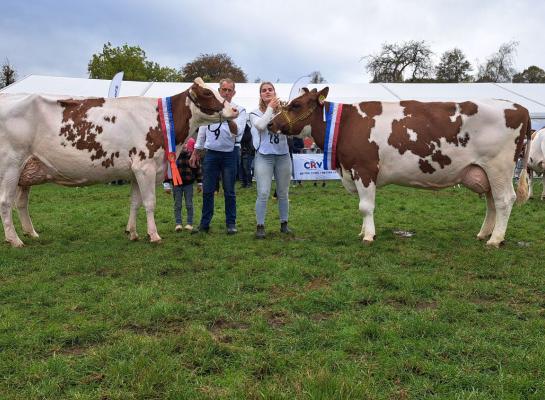 De winnaars in Oene: links Julia 20 en rechts Gonda 417 (foto: Jan Hendriks)