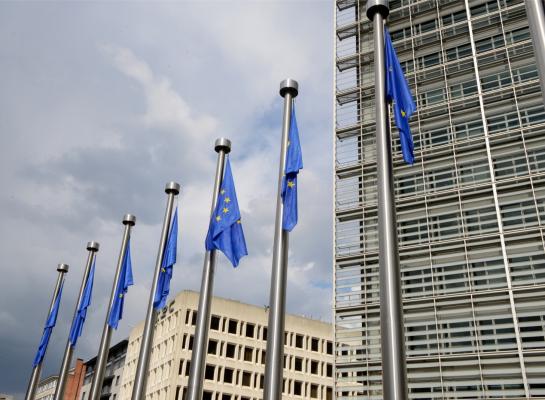 Het Europees Parlement moet zijn standpunt nog bepalen. Daarna volgen onderhandelingen met de Europese Commissie en de lidstaten